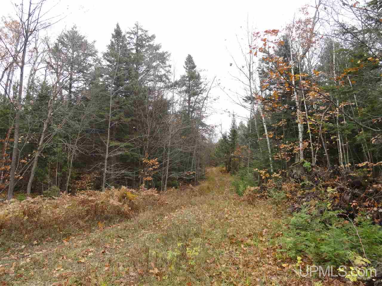 510 Rd Marquette Mi 49855 Road Negaunee, MI 49866 - Photo 13 of 26