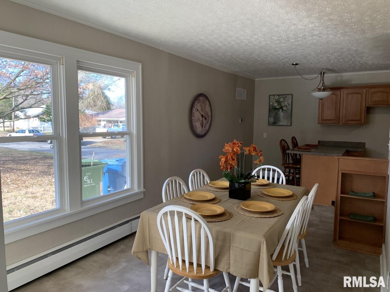 507 West Spring Street Anna, IL 62906 - Photo 3 of 23 Gallery Image 3
