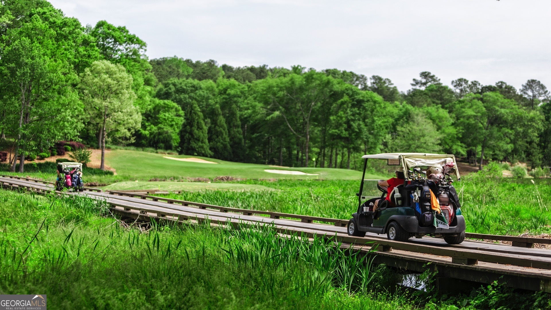 1020 Oak Valley Road Greensboro, GA 30642 - Photo 46 of 64 a view of a park with large trees