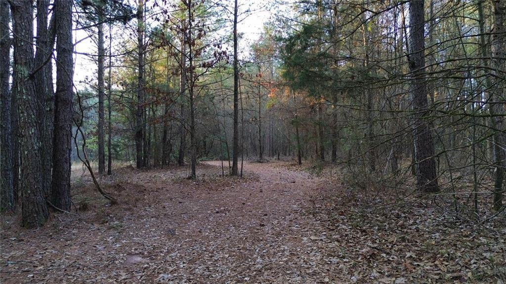 8165 Highway 81 Bethlehem, GA 30620 - Photo 12 of 17