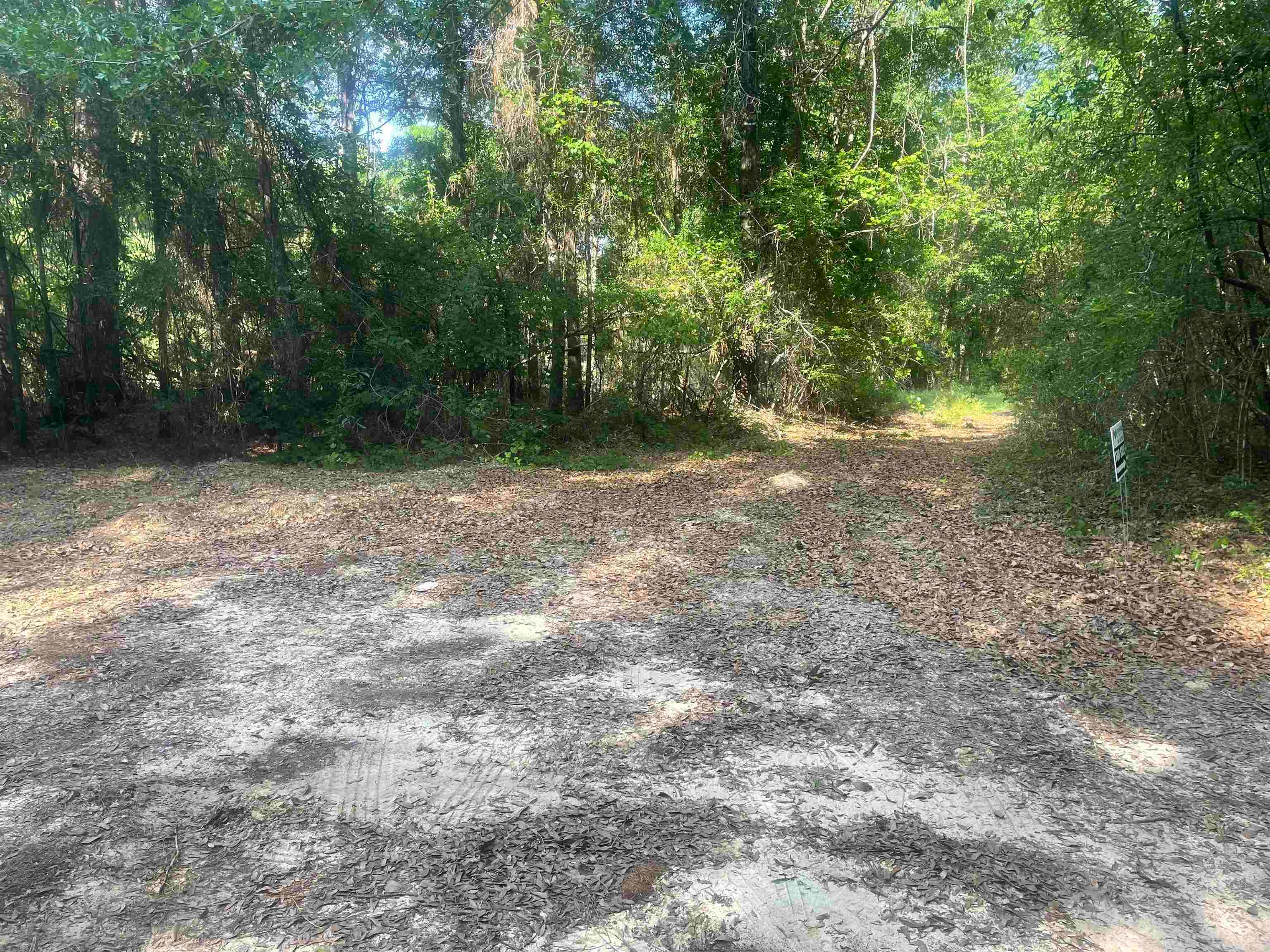 0 Music Road Red Level, AL 36474 - Photo 1 of 5 Gallery Image 1