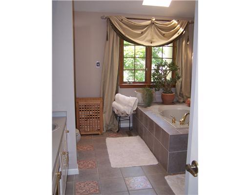 9800 Three Degree Road Allison Park, PA 15101 - Photo 11 of 17 Master Bath/Spa.