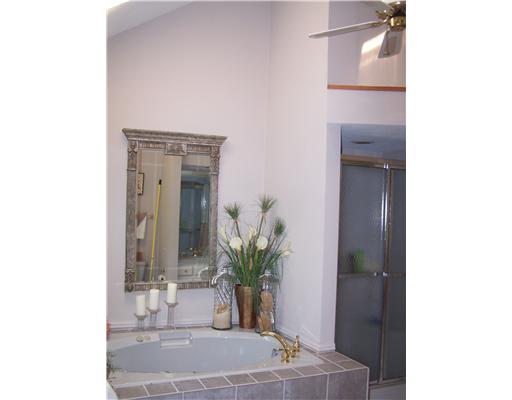 9800 Three Degree Road Allison Park, PA 15101 - Photo 12 of 17 Master Bath/Spa.