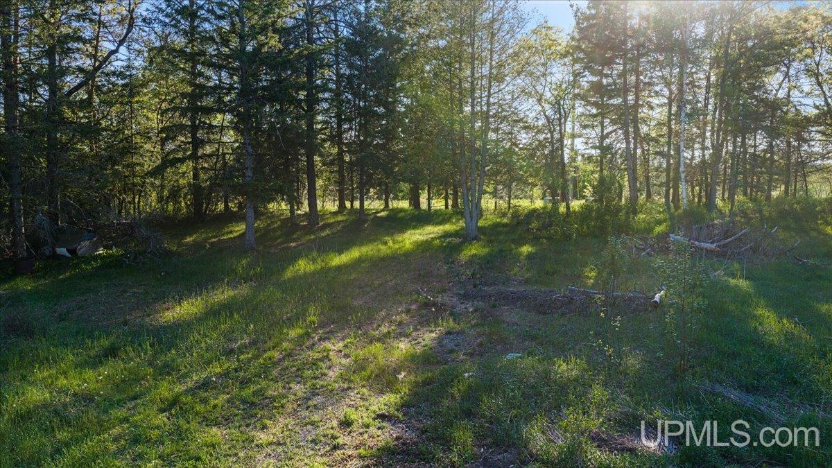 10367 V V.05 Road Rapid River, MI 49878 - Photo 11 of 16