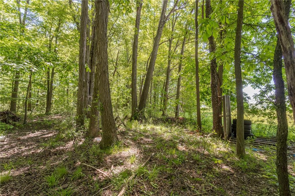 2161 Georgetown Road Sandy Lake, PA 16145 - Photo 15 of 20