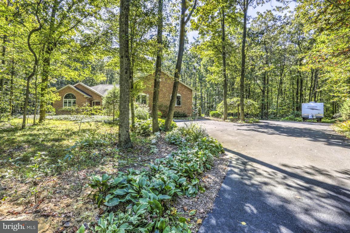 1136 Ranck Road New Holland, PA 17557 - Photo 3 of 37 a view of road with large trees