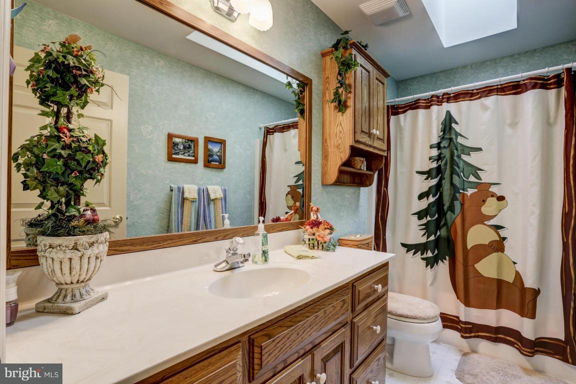 1136 Ranck Road New Holland, PA 17557 - Photo 24 of 37 a bathroom with a sink toilet and shower