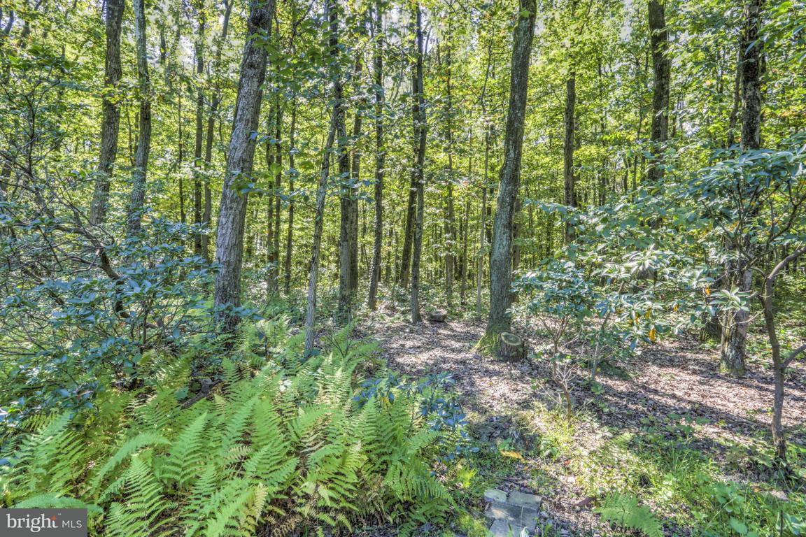 1136 Ranck Road New Holland, PA 17557 - Photo 35 of 37