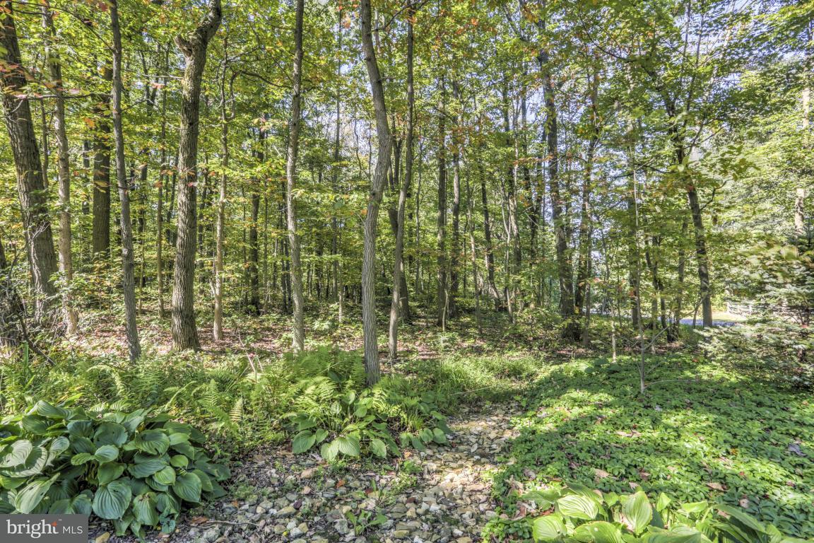 1136 Ranck Road New Holland, PA 17557 - Photo 36 of 37 a view of a garden