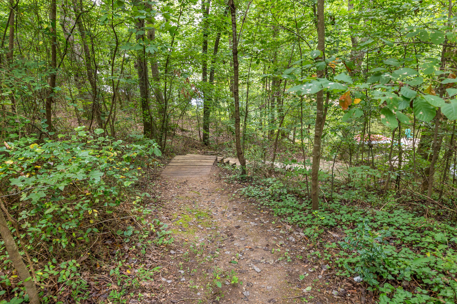9003 Rocky Point Road Soddy Daisy, TN 37379 - Photo 15 of 36 9003 Rocky Point Rd 14
