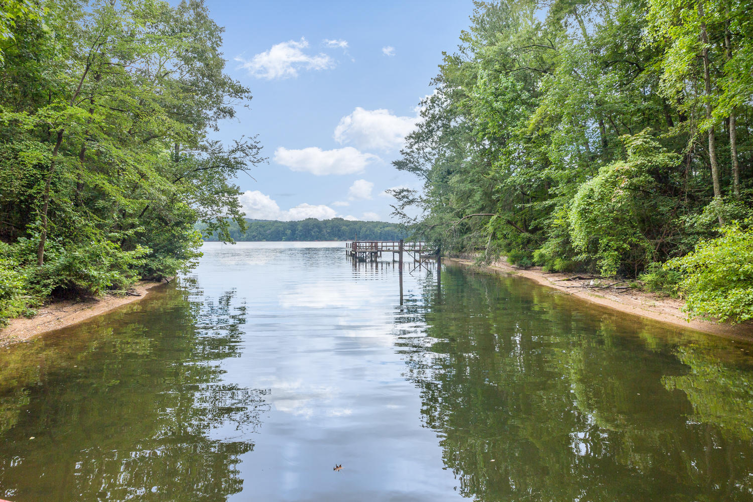 9003 Rocky Point Road Soddy Daisy, TN 37379 - Photo 17 of 36 9003 Rocky Point Rd 18