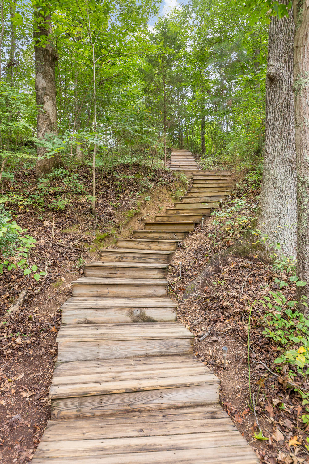 9003 Rocky Point Road Soddy Daisy, TN 37379 - Photo 18 of 36 9003 Rocky Point Rd 19