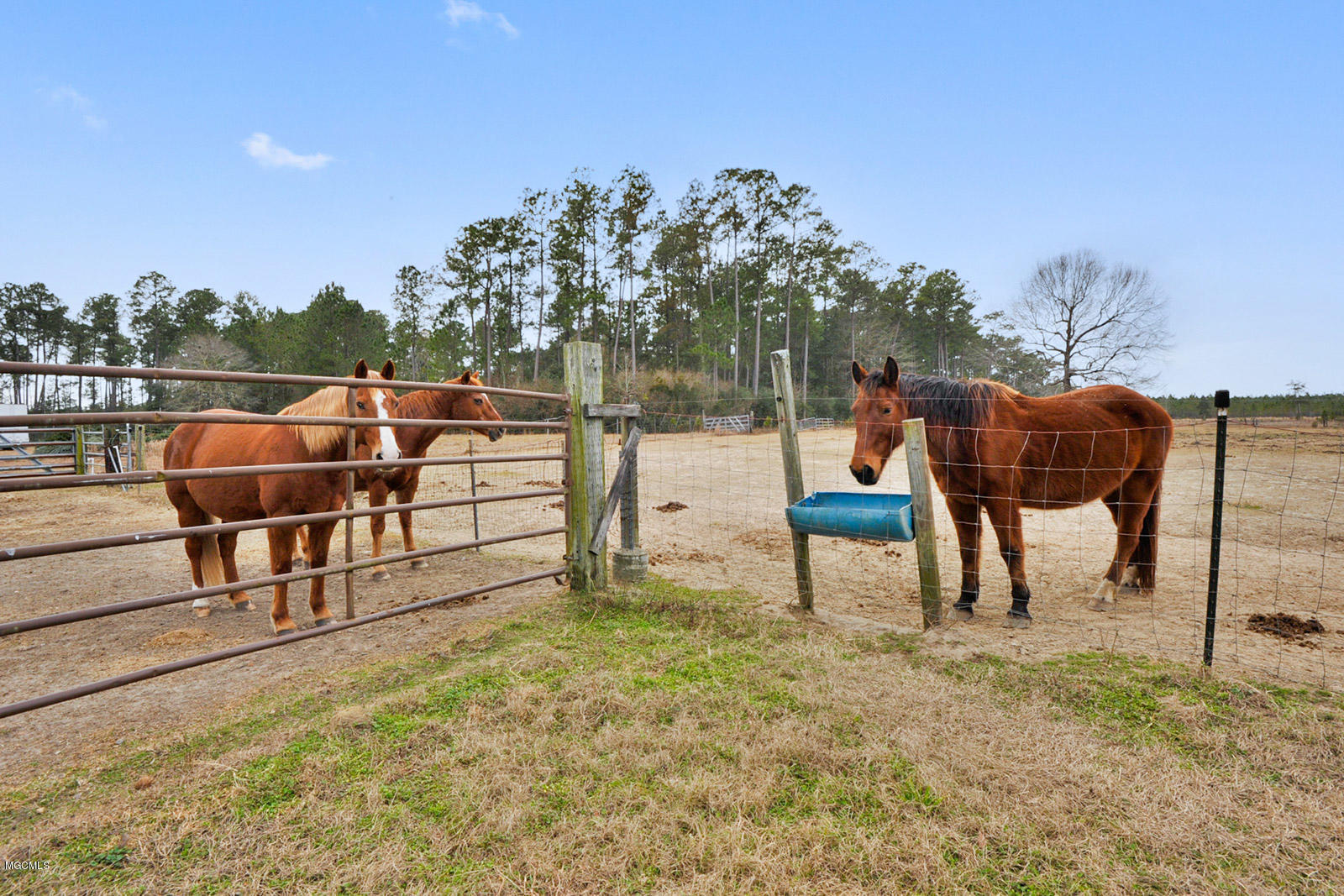 5100 Quave Road Vancleave, MS 39565 - Photo 24 of 24 023_1600x1067_mls