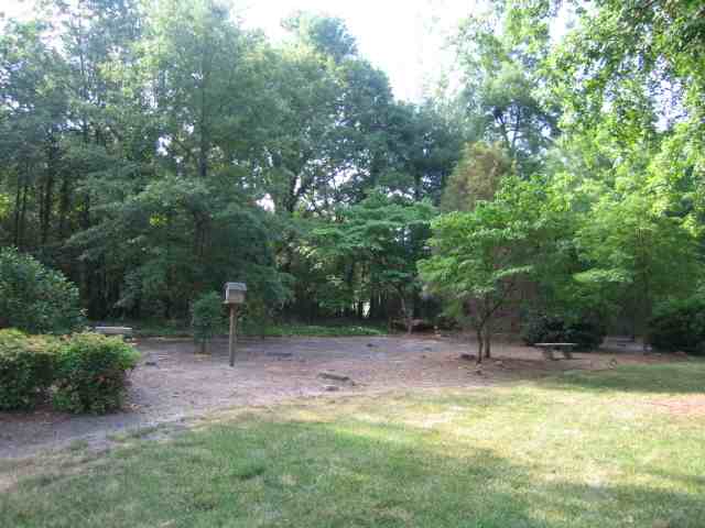 613 East Silverleaf Street Greer, SC 29650 - Photo 2 of 15 Gallery Image 2