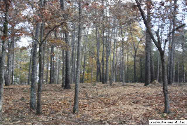 Peyton Place, Unit 3 Weaver, AL 36277 - Photo 5 of 40