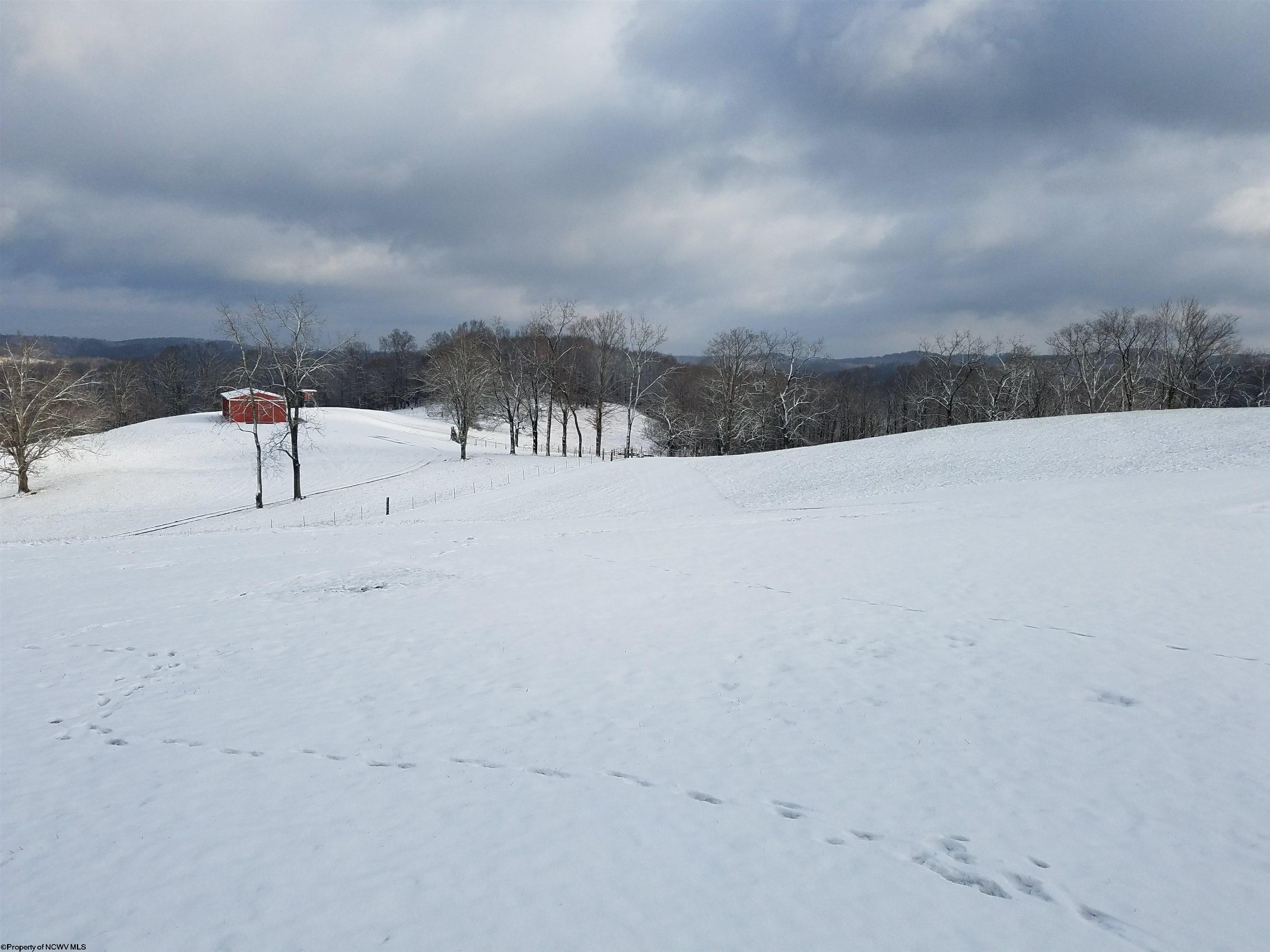 7531 Hall Road Buckhannon, WV 26201 - Photo 44 of 50 Gallery Image 44