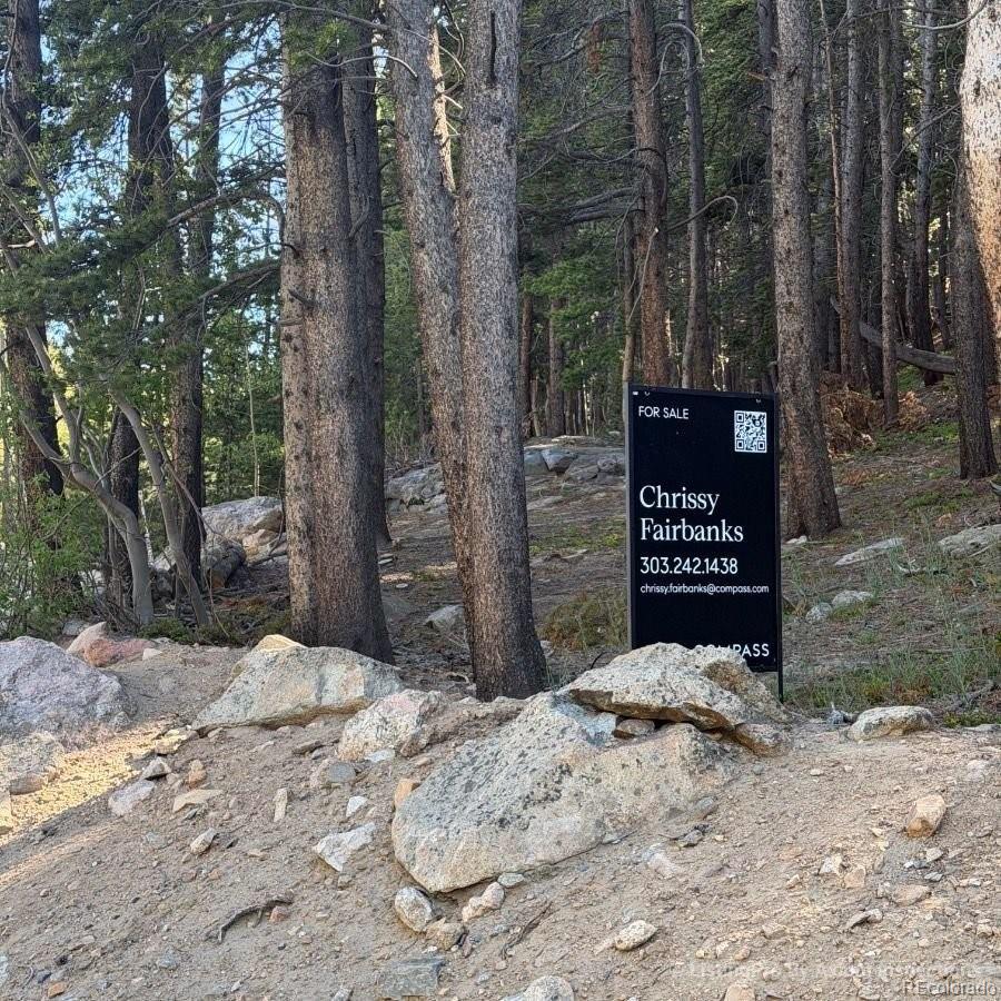 Lot 378 Alice Road Idaho Springs, CO 80452 - Photo 2 of 26