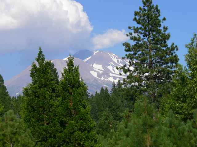 7800 North Old Stage Road Weed, CA 96094 - Photo 2 of 8 Gallery Image 2
