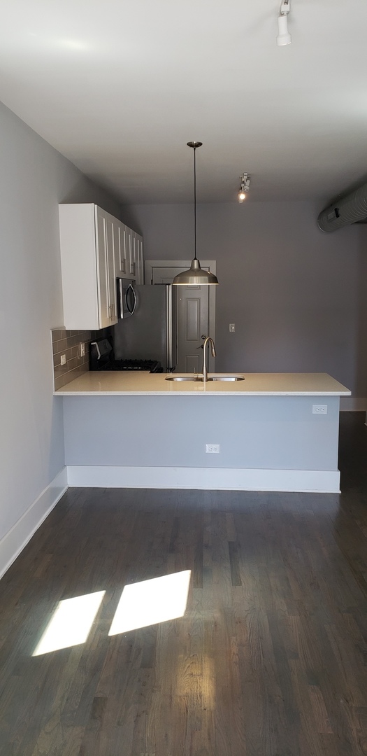 2030 West 21st Street Chicago, IL 60608 - Photo 5 of 19 a view of a kitchen with a sink