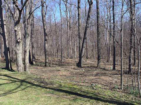 10463 Hill Road Goodrich, MI 48438 - Photo 49 of 54 20399912-48.JPG
