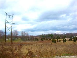 0 Losson Road Palmyra, IN 47164 - Photo 1 of 2 Gallery Image 1