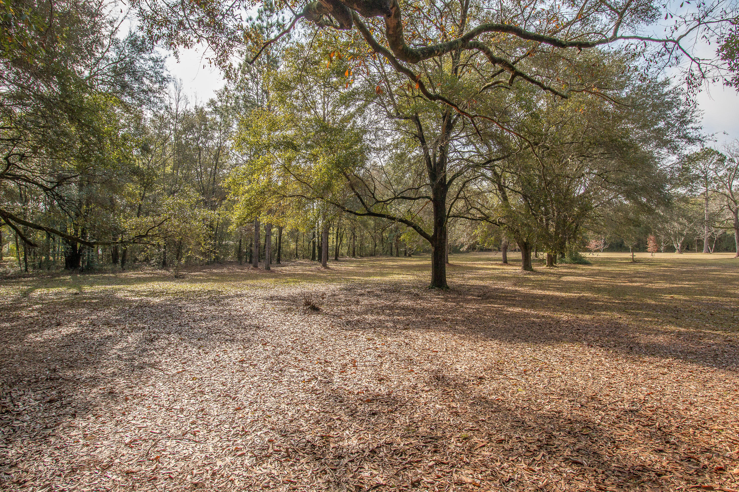 13821 Bunker Hill Road Moss Point, MS 39562 - Photo 3 of 23 IMG_0122