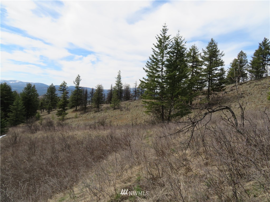 36-37 38 Union Ridge Road Republic, WA 99166 - Photo 11 of 20