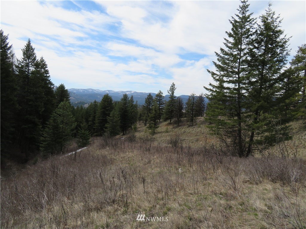 36-37 38 Union Ridge Road Republic, WA 99166 - Photo 12 of 20