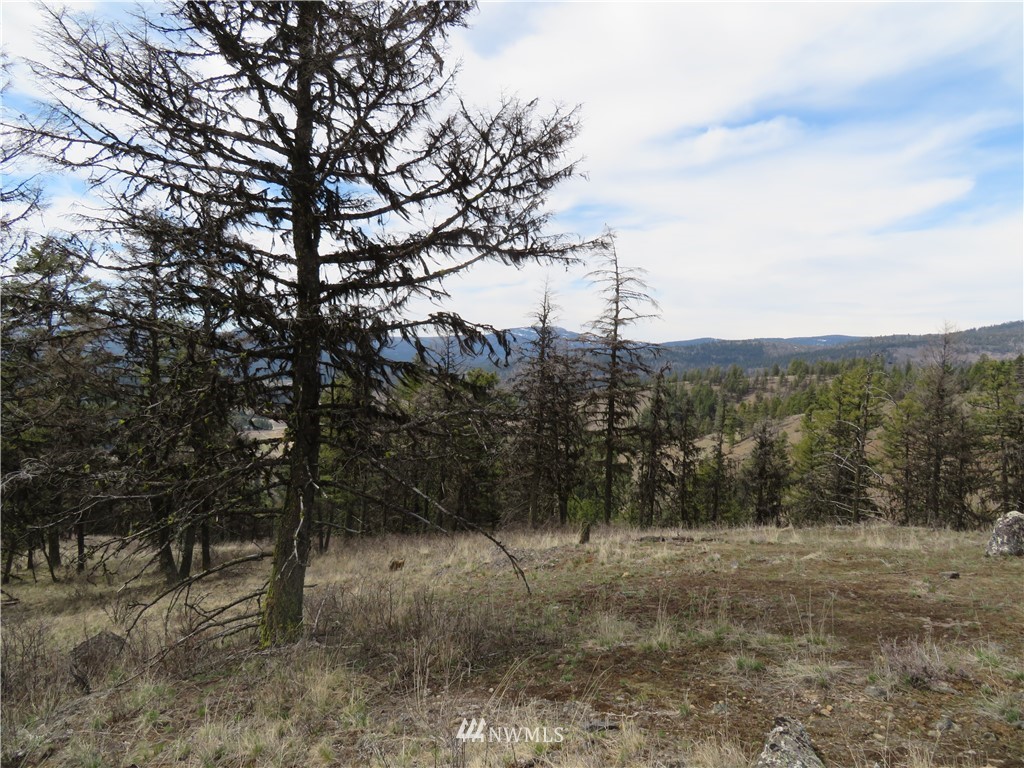 36-37 38 Union Ridge Road Republic, WA 99166 - Photo 15 of 20