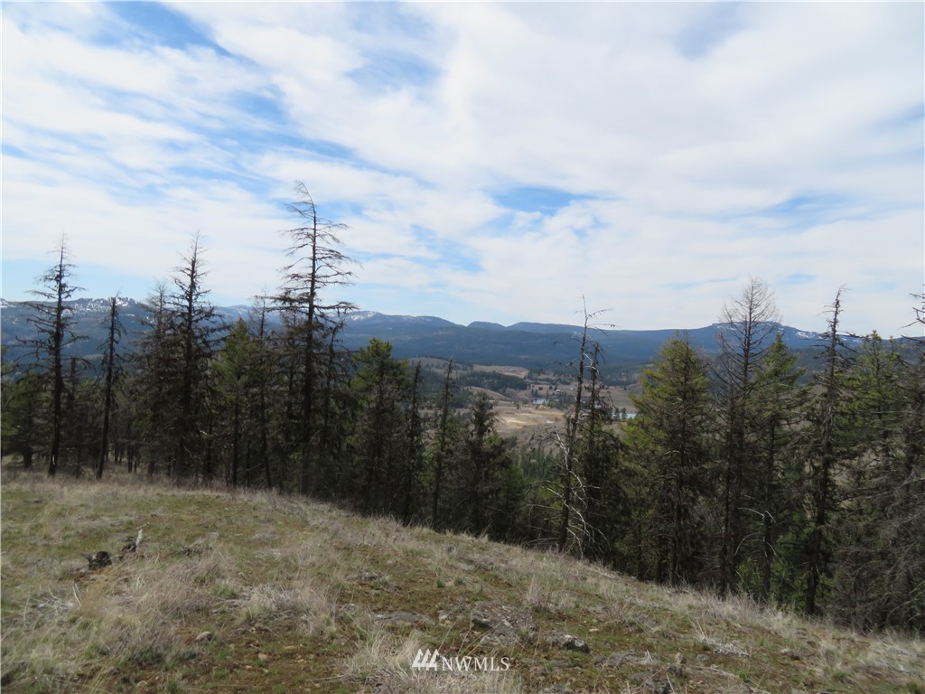 36-37 38 Union Ridge Road Republic, WA 99166 - Photo 16 of 20