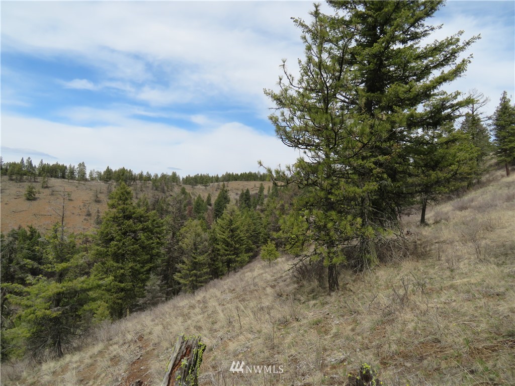 36-37 38 Union Ridge Road Republic, WA 99166 - Photo 18 of 20