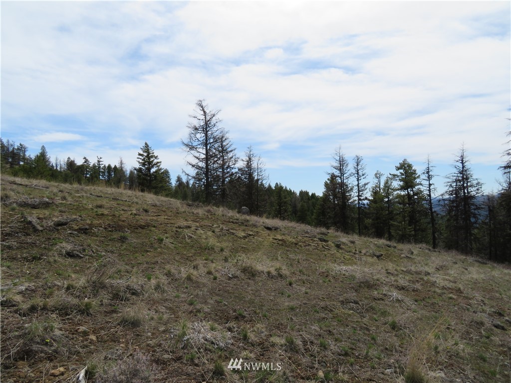 36-37 38 Union Ridge Road Republic, WA 99166 - Photo 19 of 20