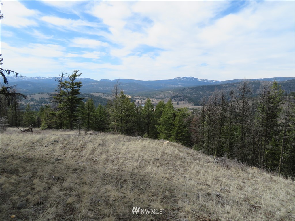 36-37 38 Union Ridge Road Republic, WA 99166 - Photo 20 of 20