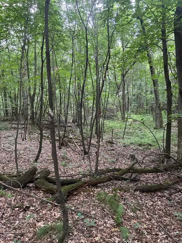 $179,900 | Jensen Road, Waupaca, WI 54981