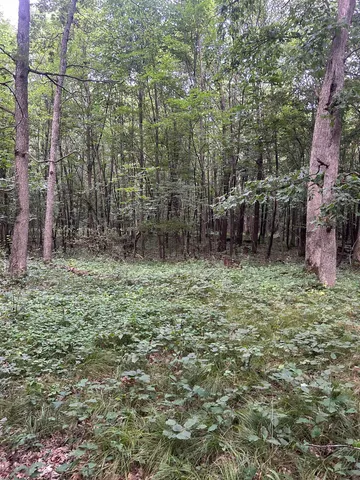 $179,900 | Jensen Road, Waupaca, WI 54981