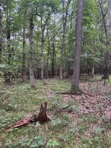 $179,900 | Jensen Road, Waupaca, WI 54981