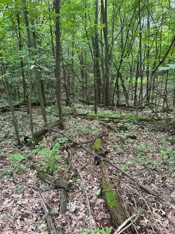 $179,900 | Jensen Road, Waupaca, WI 54981