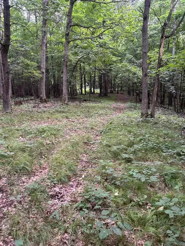 $179,900 | Jensen Road, Waupaca, WI 54981