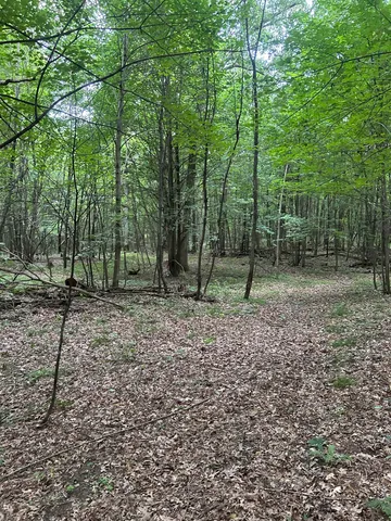 $179,900 | Jensen Road, Waupaca, WI 54981