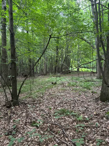 $179,900 | Jensen Road, Waupaca, WI 54981