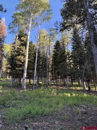 $45,500 | 447 Ute Road, Cimarron, CO 81220