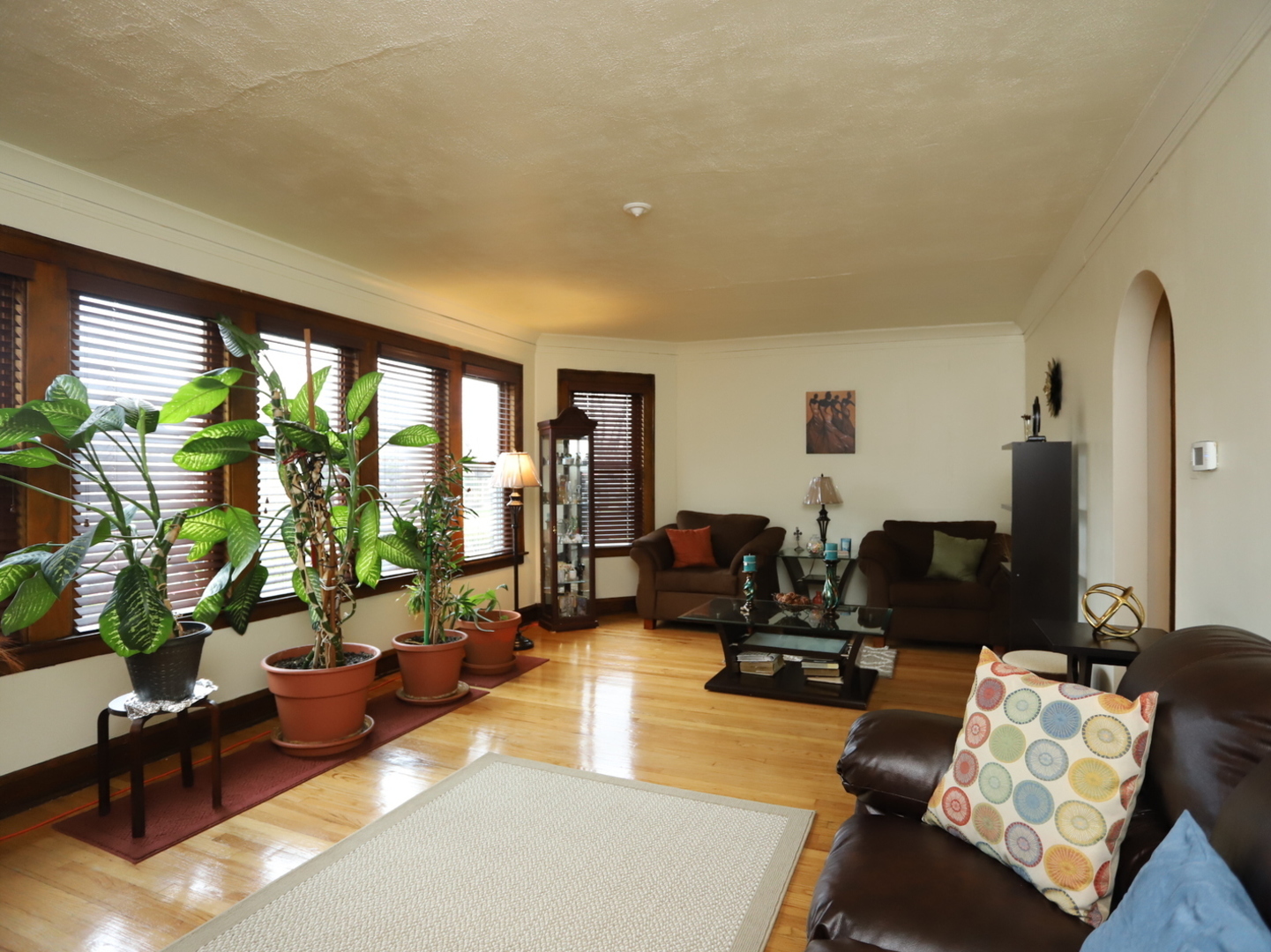 10416 South Sangamon Street Chicago, IL 60643 - Photo 11 of 95 a living room with furniture floor to ceiling window and potted plants