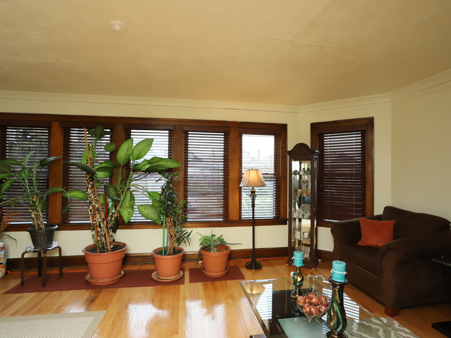 10416 South Sangamon Street Chicago, IL 60643 - Photo 17 of 95 a living room with furniture and a potted plant