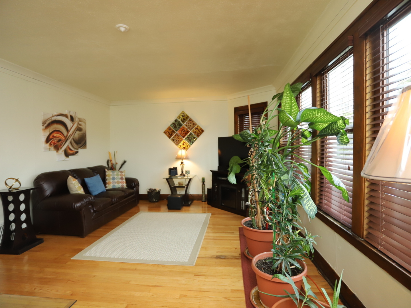 10416 South Sangamon Street Chicago, IL 60643 - Photo 20 of 95 a living room with furniture and a potted plant