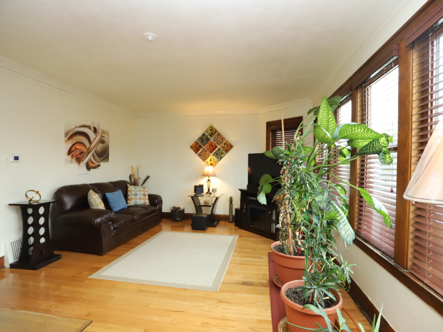 10416 South Sangamon Street Chicago, IL 60643 - Photo 22 of 95 a living room with furniture and a potted plant