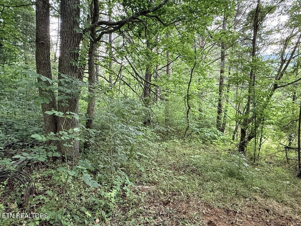 3 Rd Seymour Tn 37865 Seymour, TN 37865 - Photo 22 of 23 EB275BD4-4C1B-48B8-9FBF-494372B3E5F2_1_1