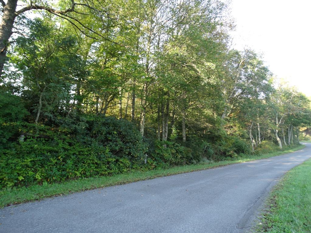 Tbd Turner Spur Road, Unit 157 Fancy Gap, VA 24328 - Photo 1 of 1 Gallery Image 1