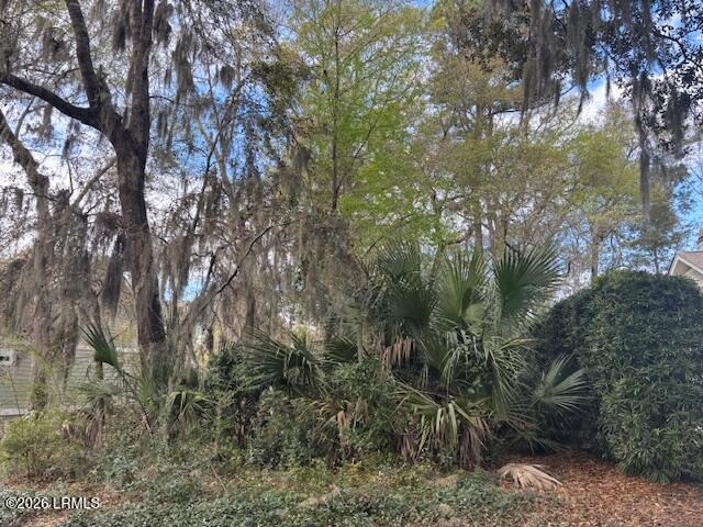 318 Westbrook Road St. Helena Island, SC 29920 - Photo 12 of 14 IMG_3577