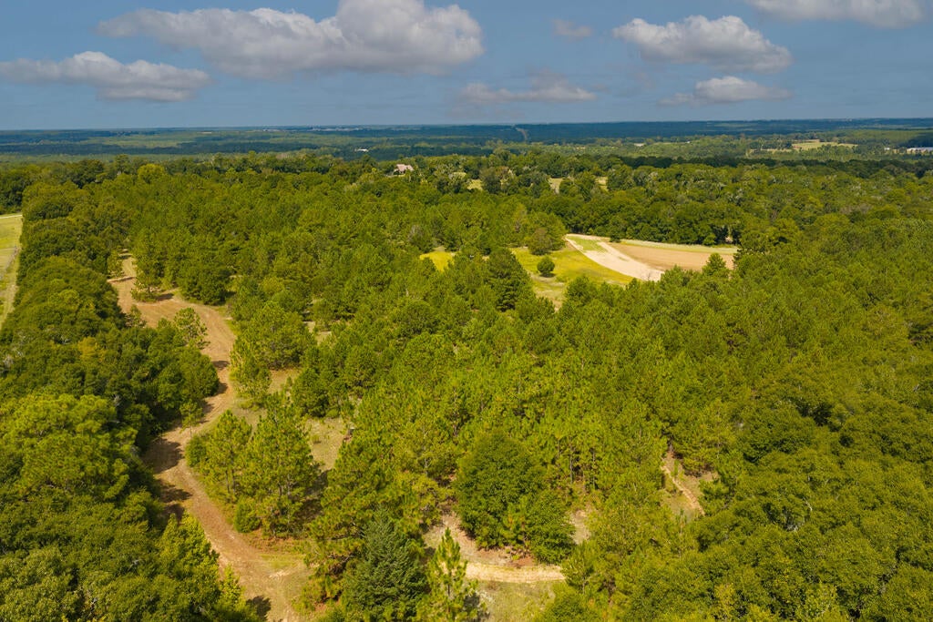 1195 Power Dam Road Newton, AL 36352 - Photo 68 of 87 Gallery Image 68