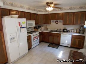 423 South Walnut Street Rochester, IL 62563 - Photo 5 of 9